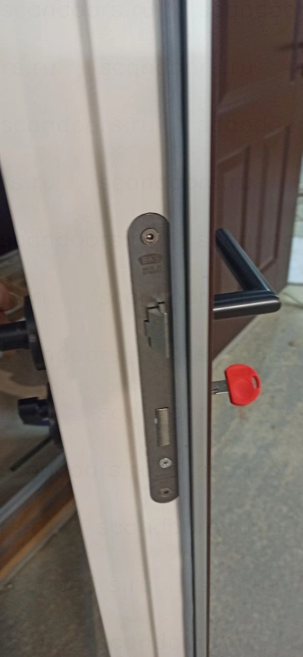 Фото 4 - Двери в классическом дизайне Scandoors Arctic Scandoors: производство и монтаж