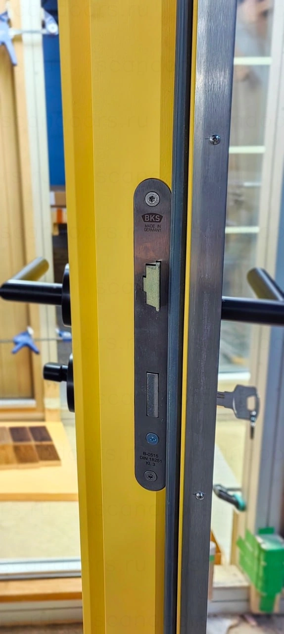 Фото 3 - Морозостойкие двери Scandoors Planken Scandoors: производство и монтаж