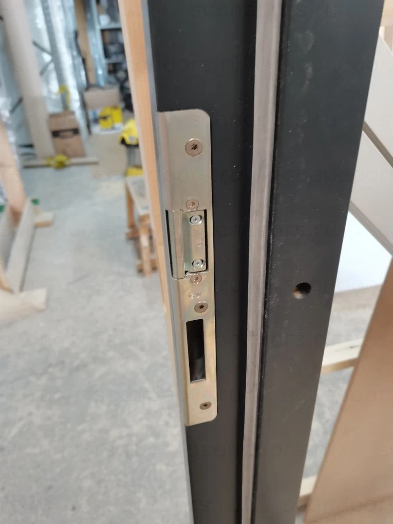 Морозостойкие двери Scandoors Thermo, язычок защелки замка пластиковый, пониженной шумности – фото Scandoors
