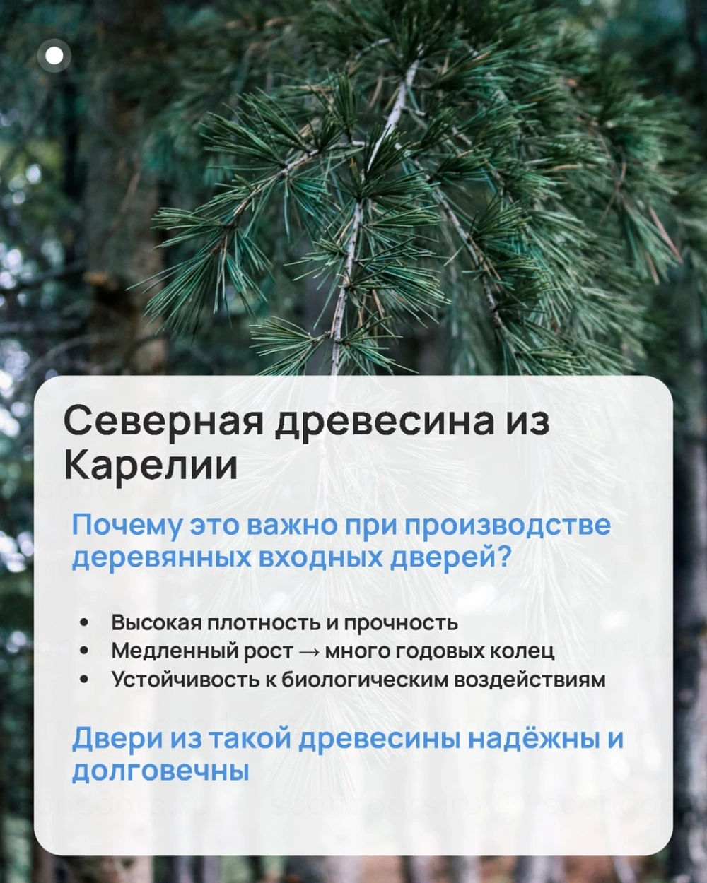 Фото 2 - ❄️ Рассказываем 👆, почему двери Scandi, Scandiplus, Scandoors и Scandoors Wood сохраняют тепло и надёжность даже в суровую зиму. Scandoors: производство и монтаж