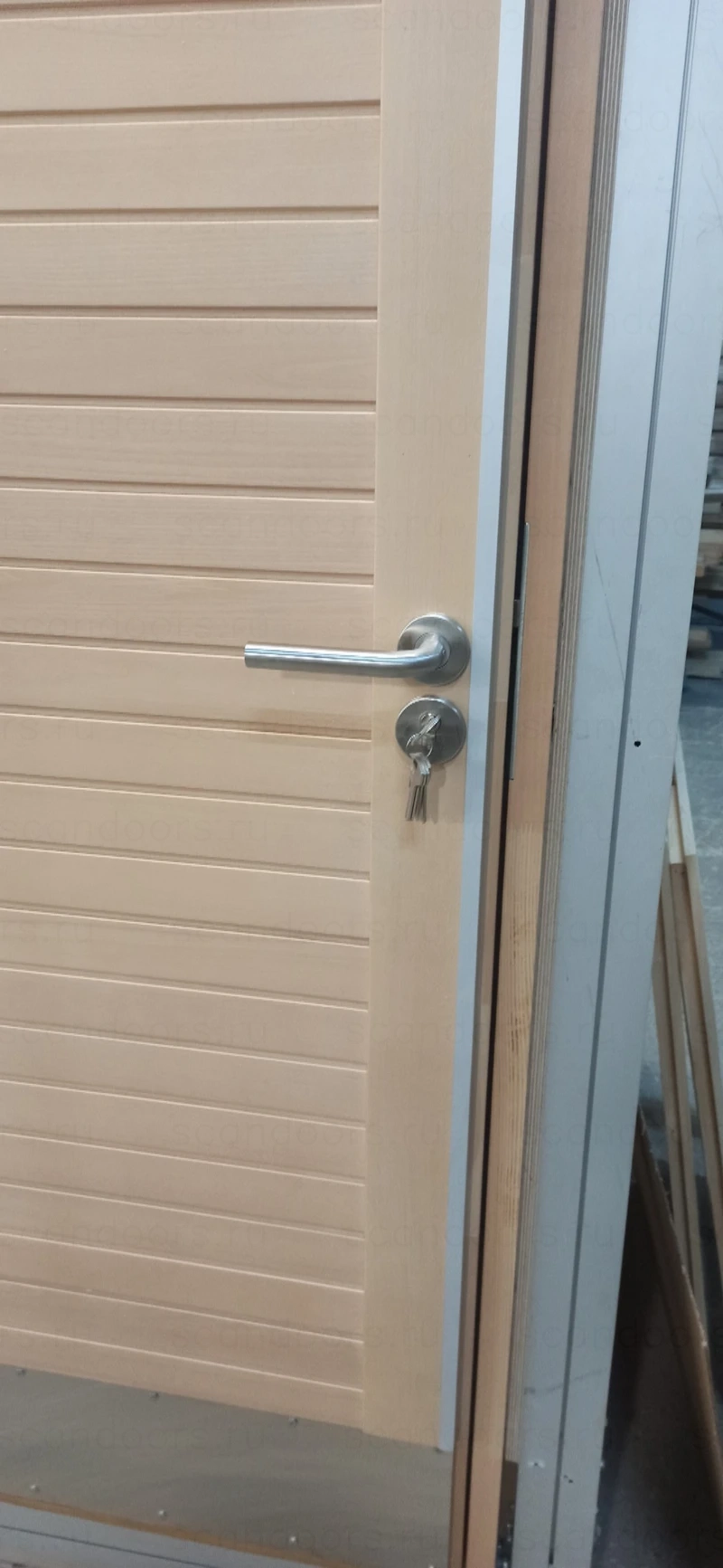 Scandiplus 015 Thermo для жилых домов и коттеджей – фото Scandoors