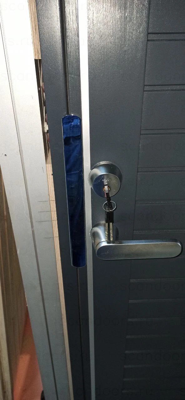 Фото 2 - scandiplus Scandoors: производство и монтаж