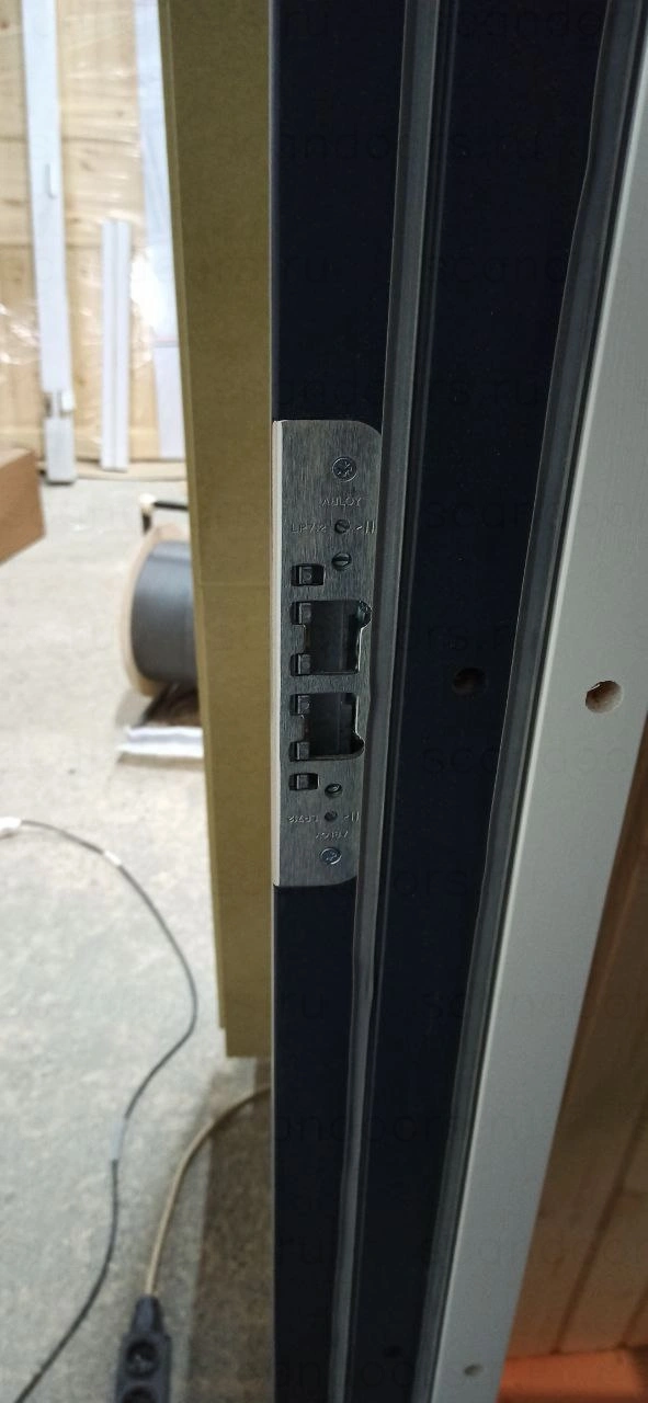 Фото 3 - scandiplus Scandoors: производство и монтаж