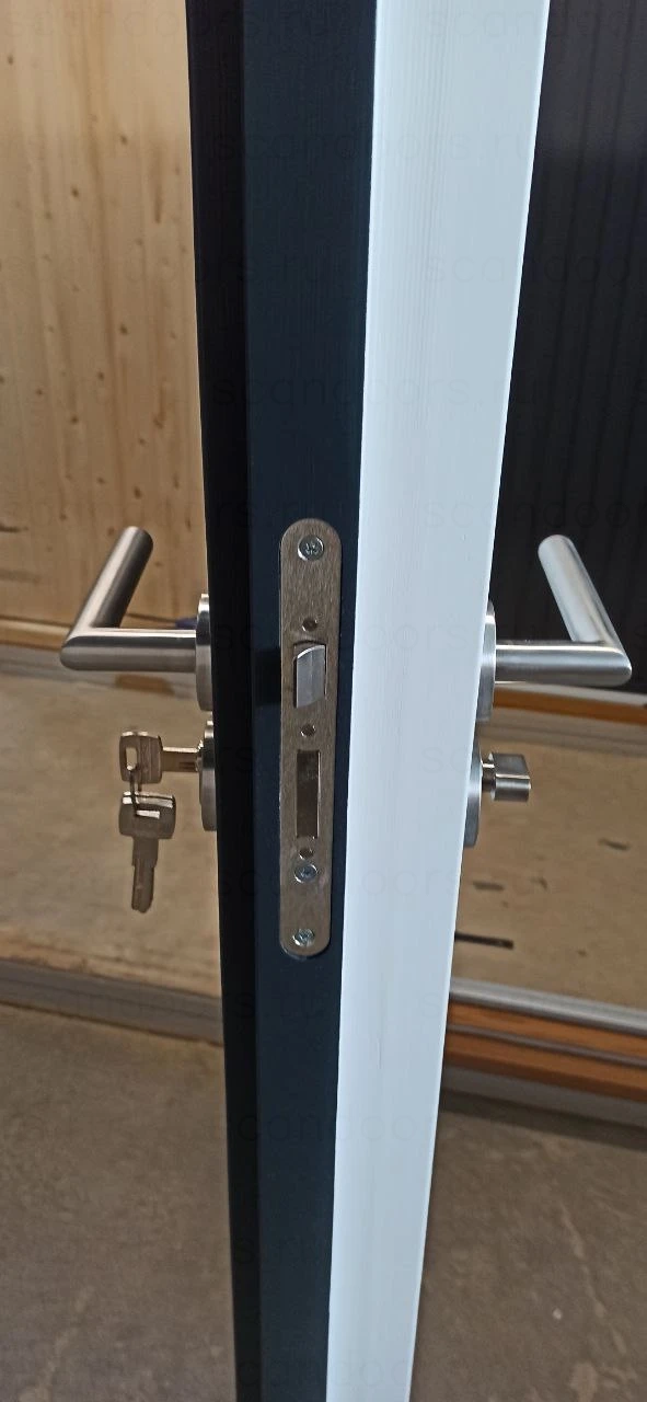 scandiplus – фото Scandoors